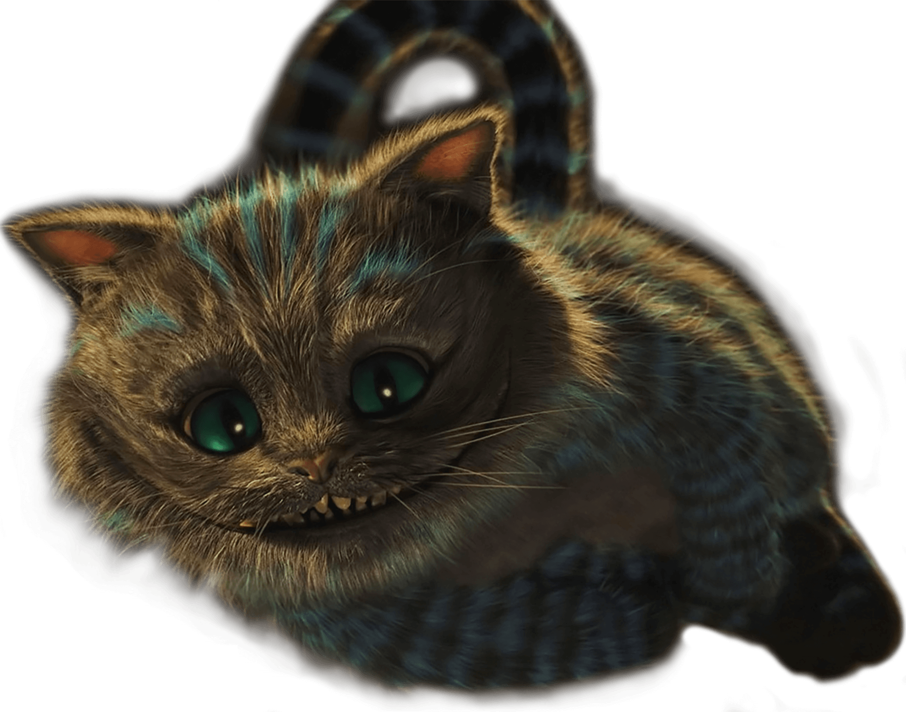 Гарний котик!